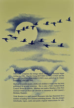 Load image into Gallery viewer, Beyond the Coast. Award winning collection of Poems by Marlene J. Bennetts.