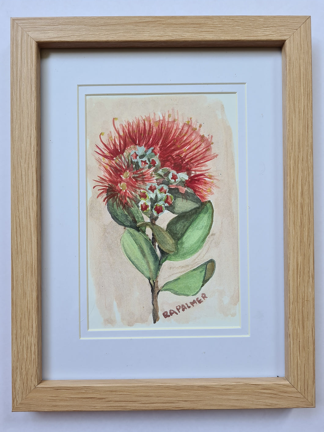 Pohutakawa Tree. Ruth Palmer, Framed art print - 15cmx20cm